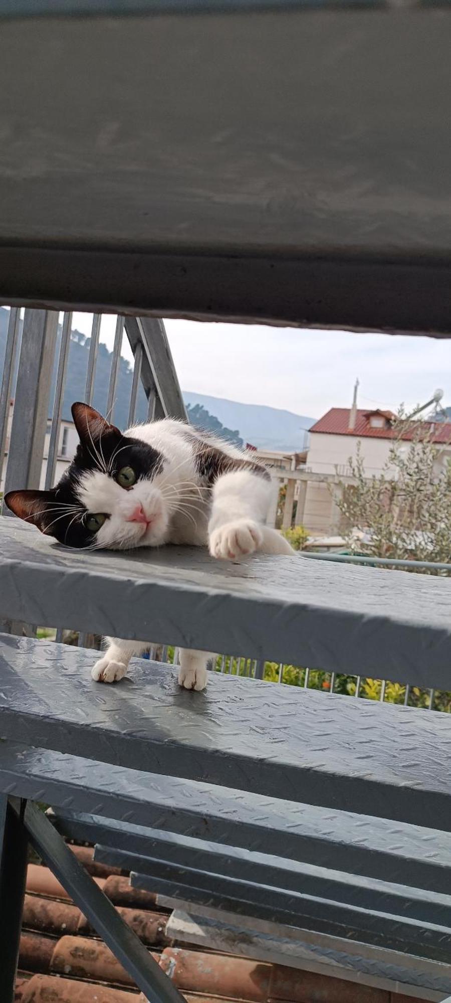Guesthouse Eva Suite Berat Esterno foto